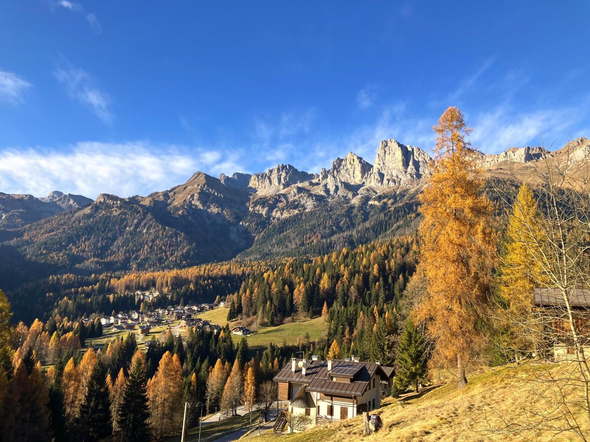 Appartamento Dolomiti Dream 1 Falcade Ngoại thất bức ảnh